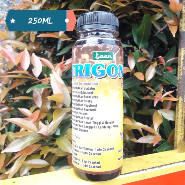 

Madu klanceng murni||250ml||