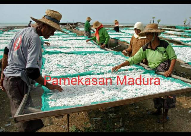 Teri nasi medan grade A (500g) - teri medan