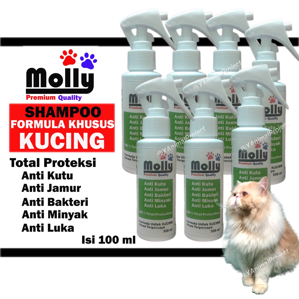 Shampoo Kucing Shampo MOLLY Khusus Cat Kitten Anti Kutu Jamur Bakteri Luka Menghilangkan Minyak Formula Herbal