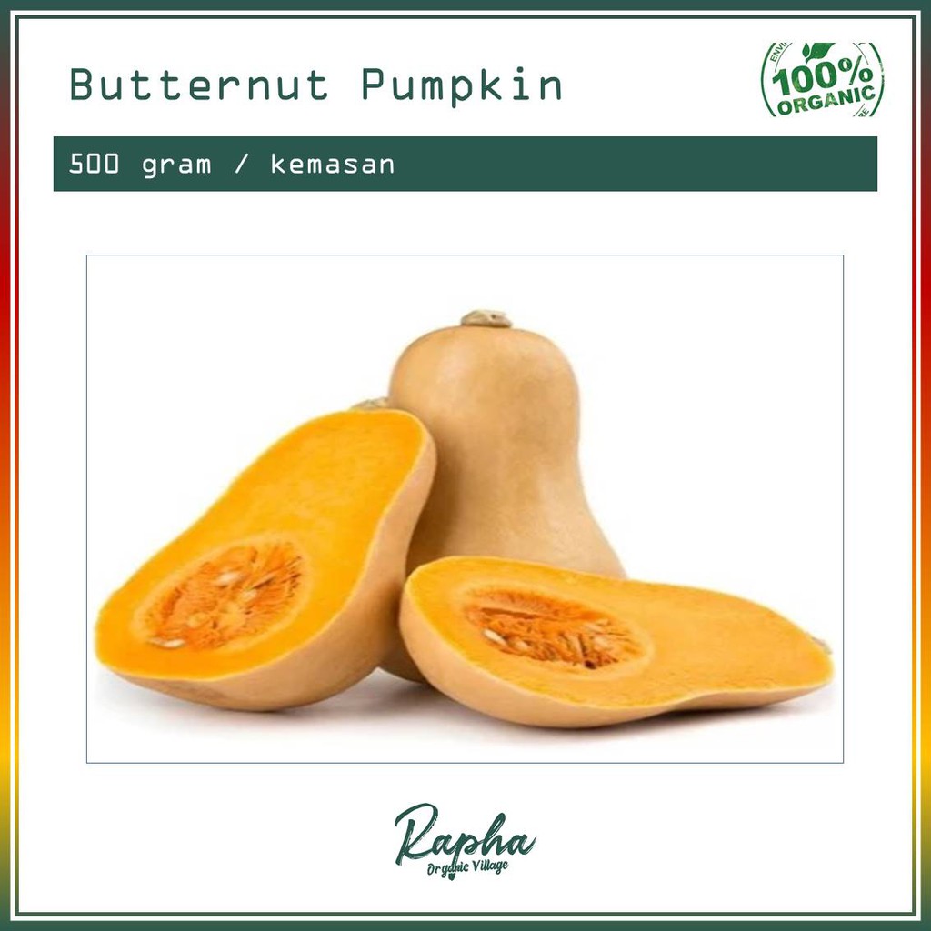 

Butternut Pumpkin Organik