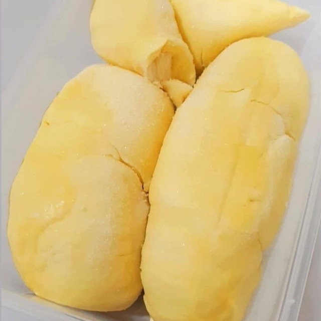 

Duren Montong Palu