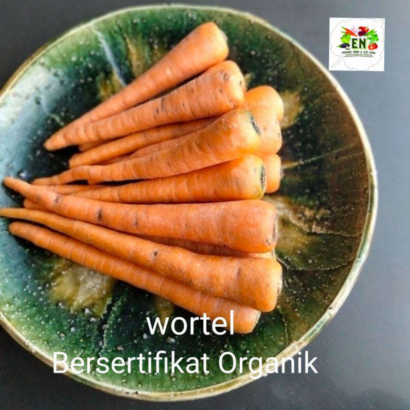 

Sayur Organik Wortel 100% Bersertifikat Organik Vegetable Murah Sehat Healthy Life Grosir Supermarket