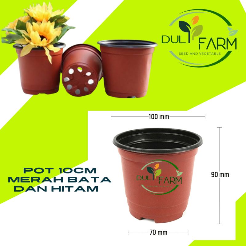 Pot Plastik Tanaman Bunga 10 cm Elastis Dua Warna Hitam Merah Bata