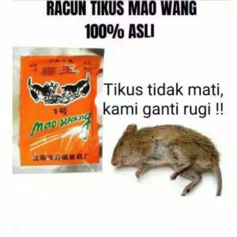 RACUN TIKUS MAOWANG RACUN TIKUS AMPUH TERMURAH