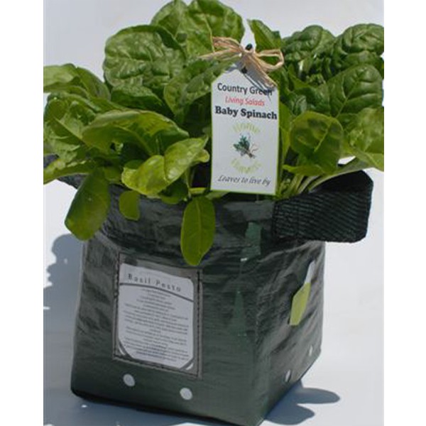 Vegetable Herbs Planter bag polibek semai benih bibit tanaman hias sayur sayuran bunga TABULAMPOt