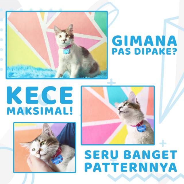 SERI B / kalung kucing / kalung kucing custom / dog collar / collar custom / kalung anjing / kalung