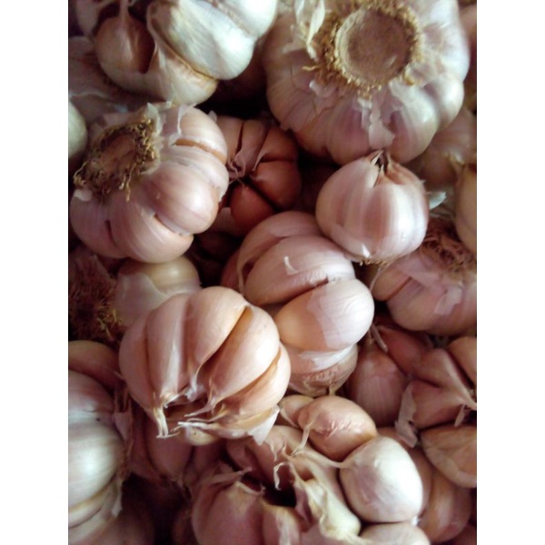 

bawang putih honan bersih