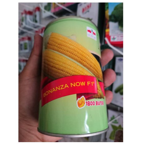 BENIH/ BIBIT JAGUNG MANIS BONANZA NOW KALENG 1800bj terlaris
