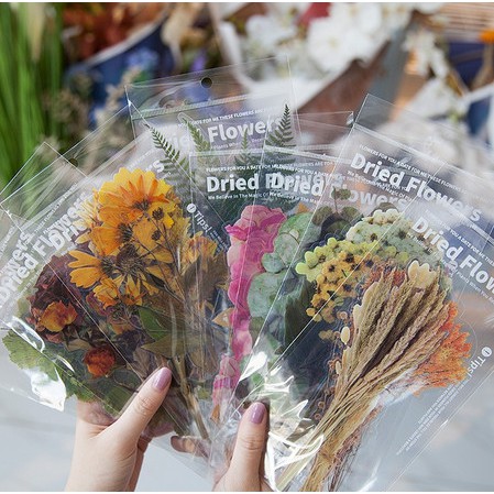 Dried Flower PET Stickers Pack - Stiker Bunga Kering Transparan (6pcs)