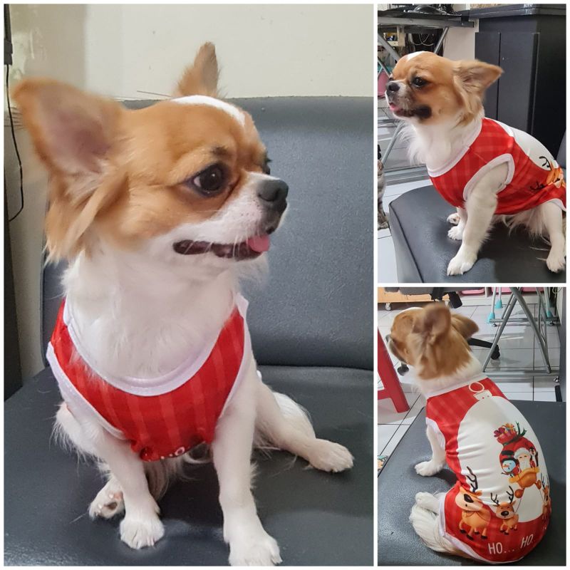 Baju Kaos Doggie Tema Natal Christmas Winter