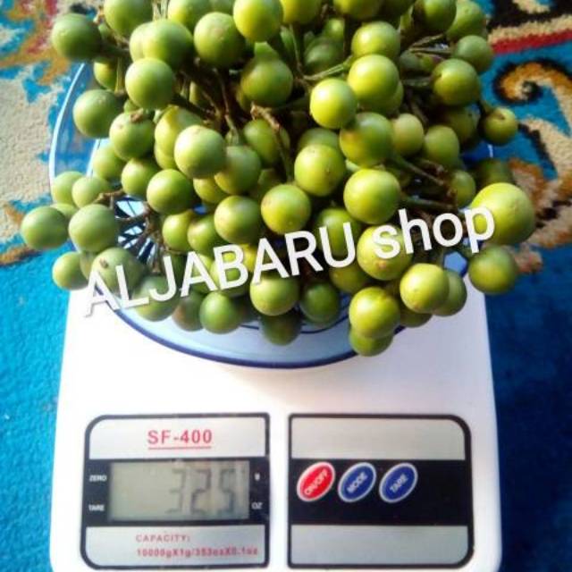 

Takokak / Cepokak / Tekokak Fresh | 325 gram