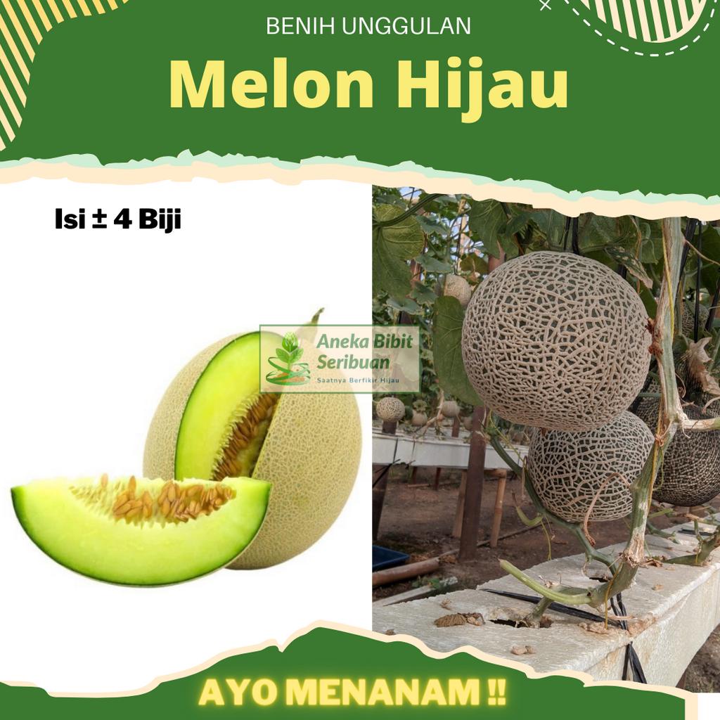 Benih Melon Pertiwi Anvi 4 Biji Hibrida F1