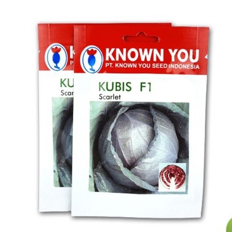 BENIH SEED KUBIS SCARLET F1 KNOWN YOU SEED