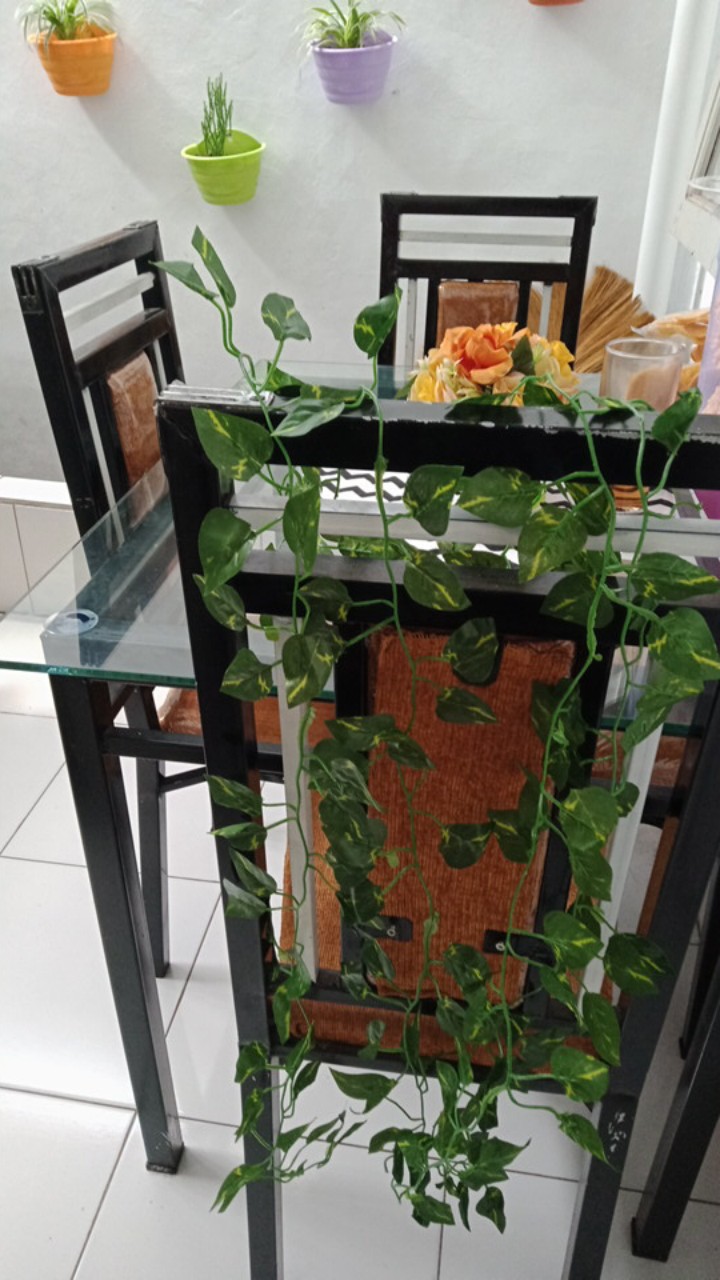 Daun Rambat Sri Gading 2m Dekorasi Home