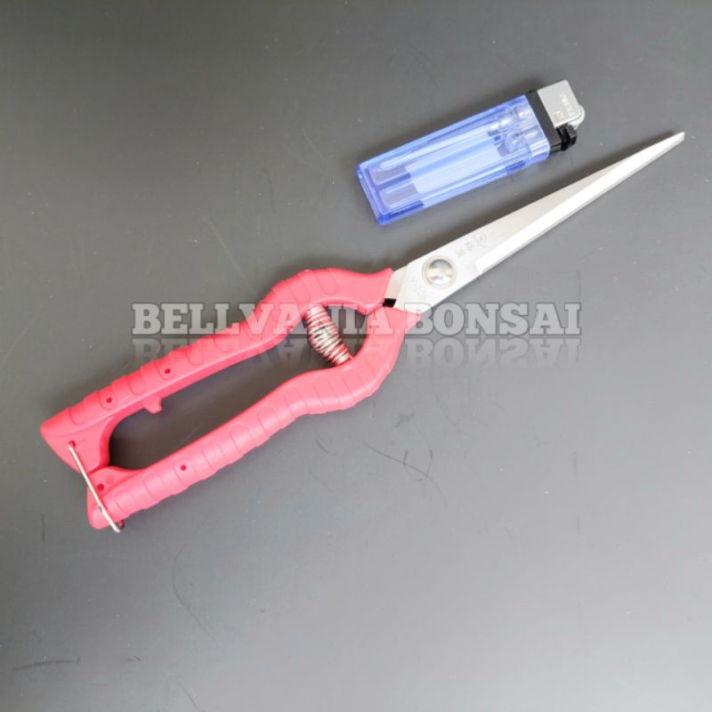 

Gunting Prunning Daun Panjang 24.2cm Dengan Mata Pisau 12.2cm JunDW