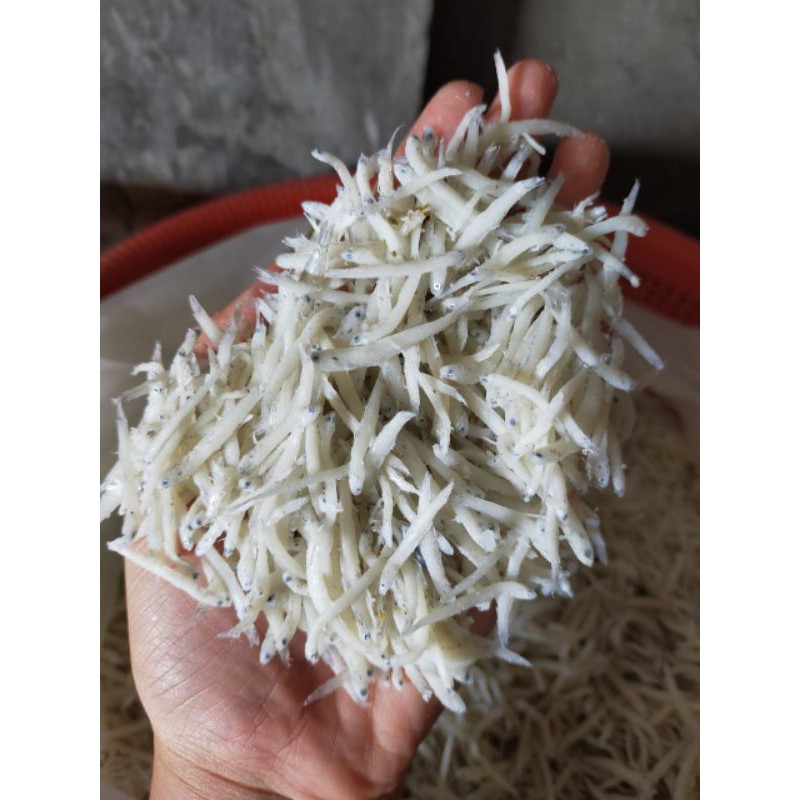 

ikan teri nasi medan murah kering 500 gram sambal jengki asli