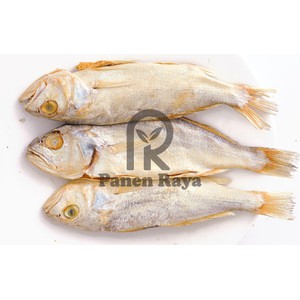 

Ikan Asin Sileman Pasuruan