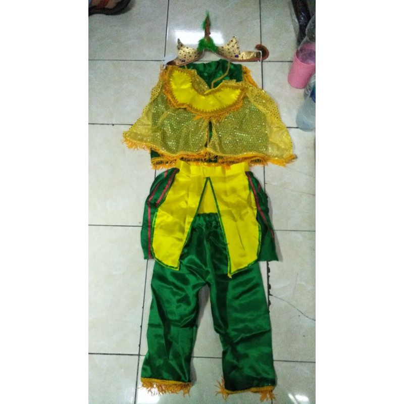 Satu Set Kostum Anak  Tari Merak