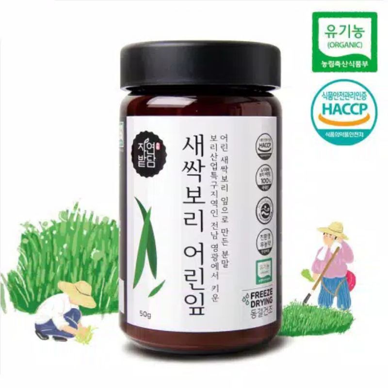 

Korea Saessak Bori Organic Barley Sprout Grass Powder 50g