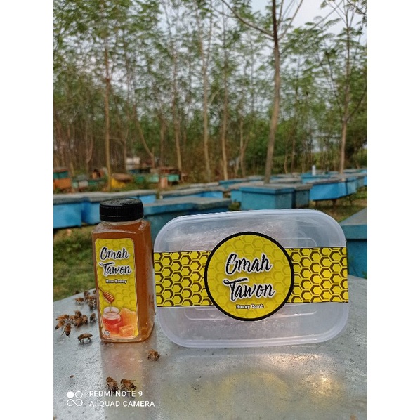 Madu murni raw honey Omah tawon 300 gram