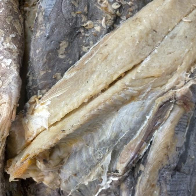 

TERLARIS IKAN ASIN JAMBAL 1KG TERBAIK