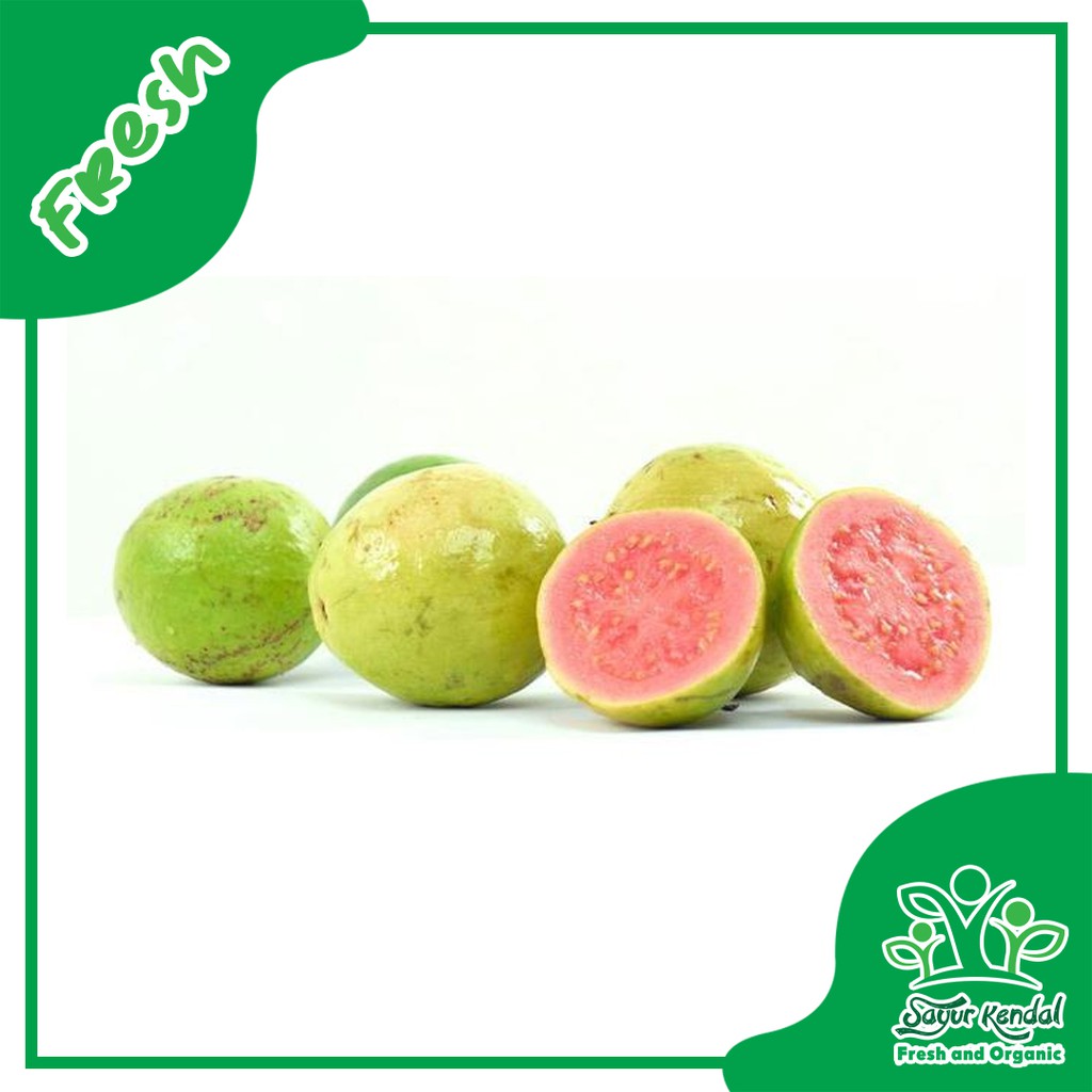 

Jambu Biji Merah - Sayur Kendal