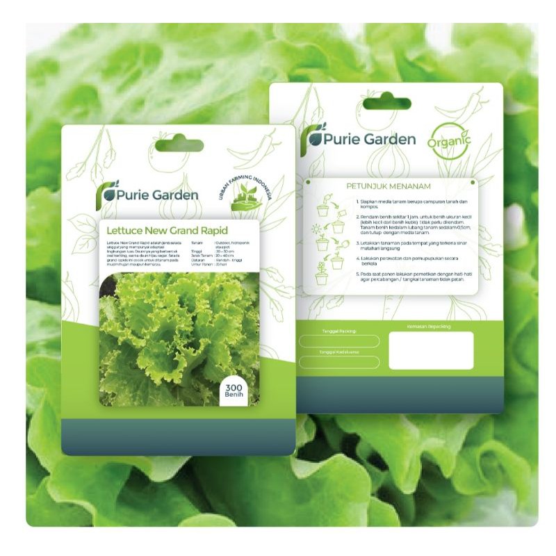 Lettuce Grand Rapid 300 benih