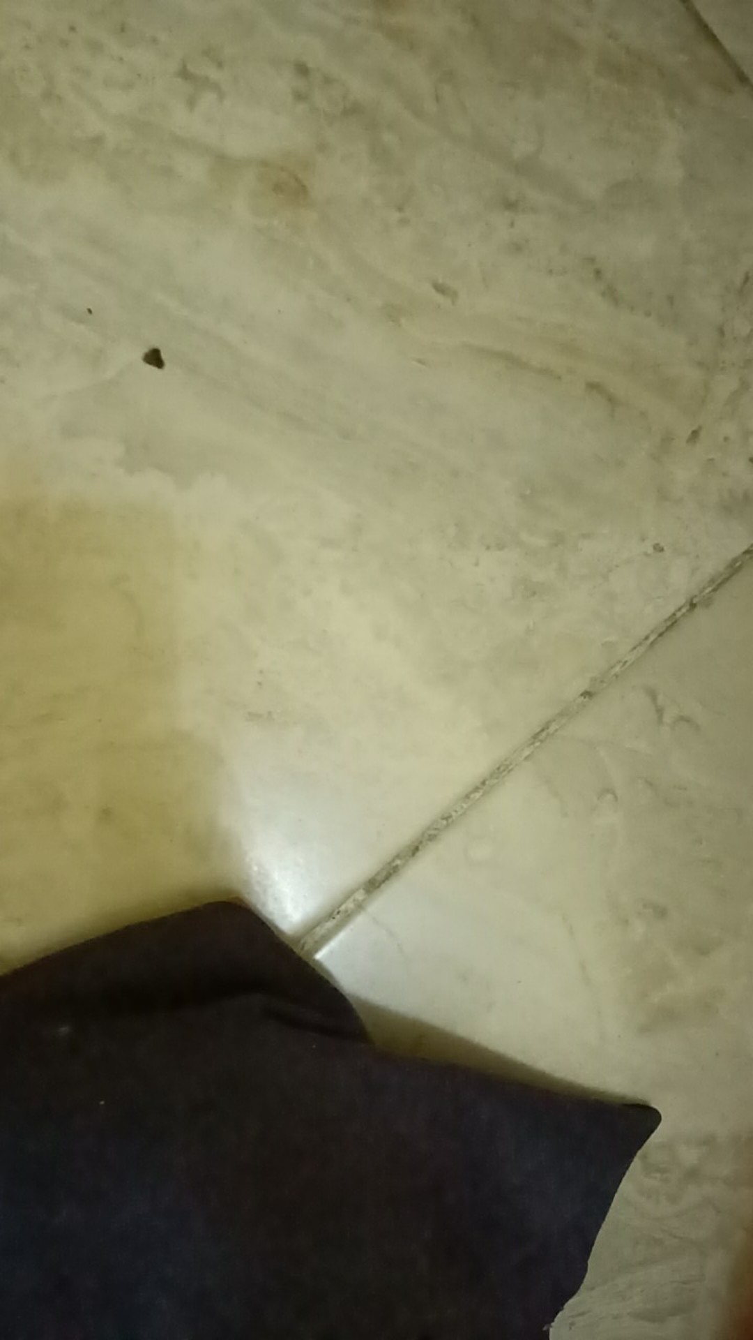 Gof Brla Damor (cressida) Batik Cowok Pakaian Pria Kemeja Batik Reguler Lengan Panjang