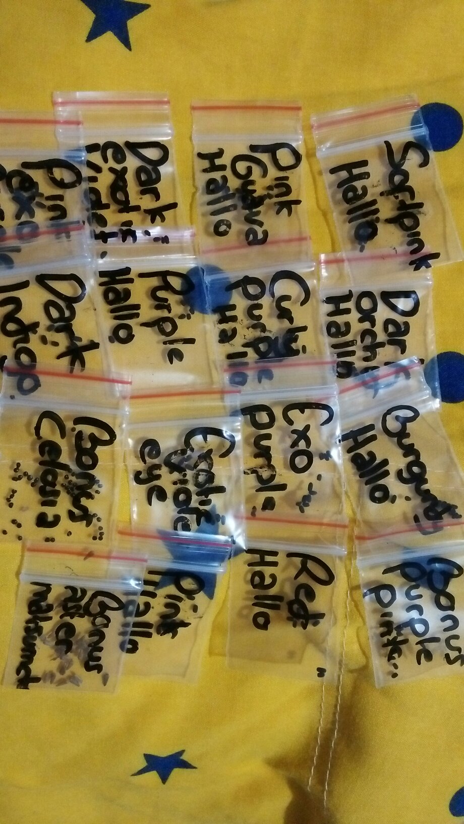 Vinca Softpink Hallo (benih/seed/biji) Tegak