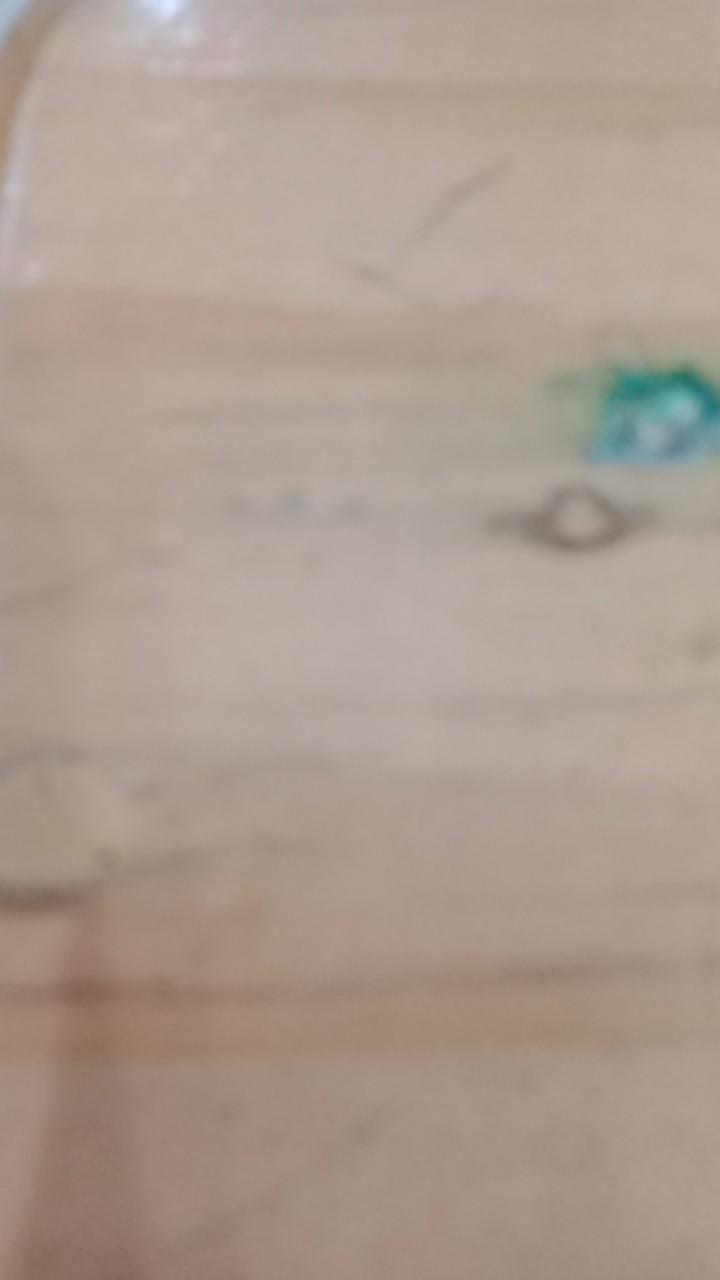 Halo.bag 216 Plastik Kemasan Cemilan 10x10 Model Karakter Beruang Dan Anjing Lucu