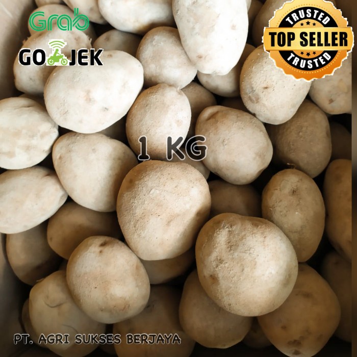 

INSTANT-CAMILAN- KENTANG DIENG 1 KG -CAMILAN-INSTANT.