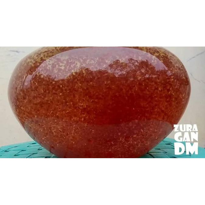 

DISKON! Daphnia Magna (Starter 1000 ekor) + sampel pakan + panduan kultur