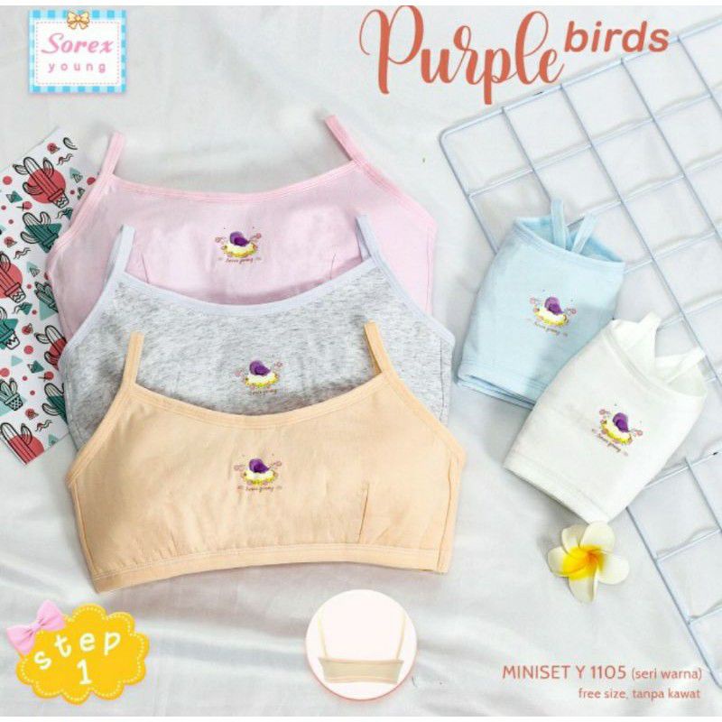 miniset sorex step 1/miniset sorex 1105