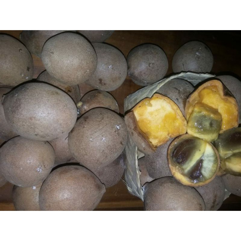 Buah Kepel Burahol 5kg petik segar