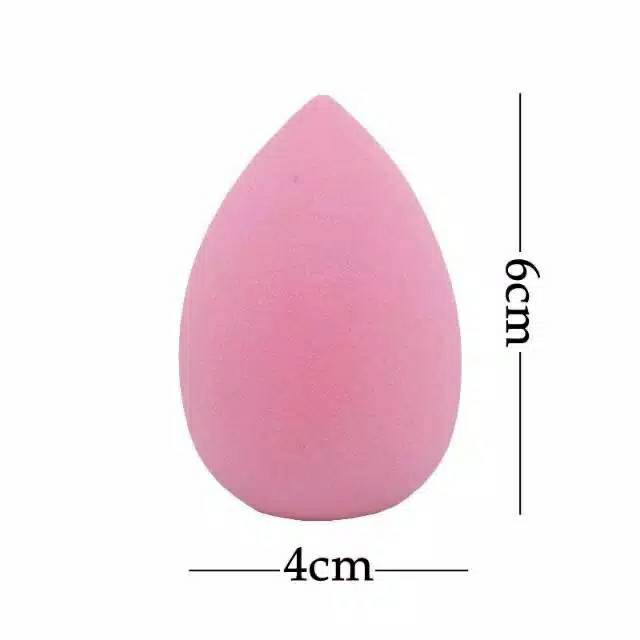 Brasov Sponge Blender/sponge make up brasov TELOR GUCI