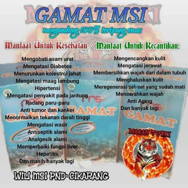 GAMAT MSI