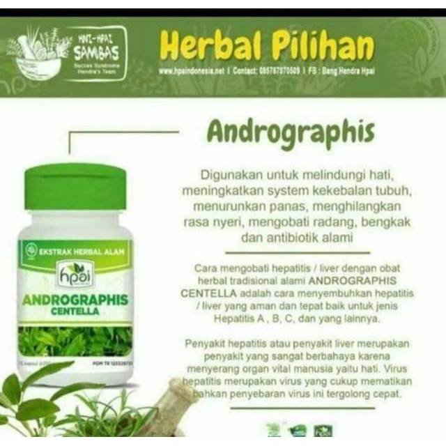 Resep Herbal Hpai Untuk Sakit Kepala