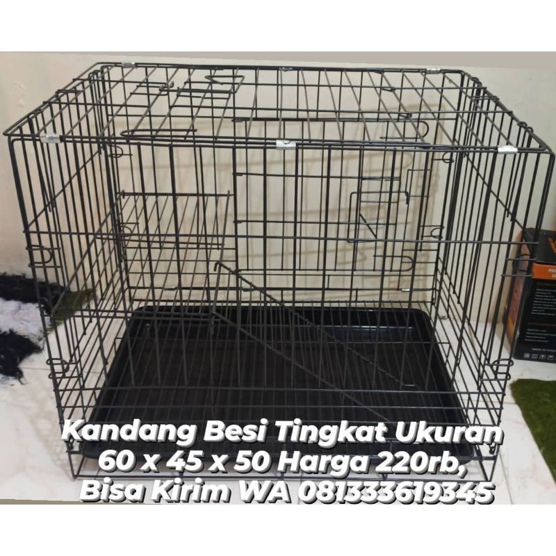Kandang Besi Kucing Tingka - Albells Petshop Surabaya