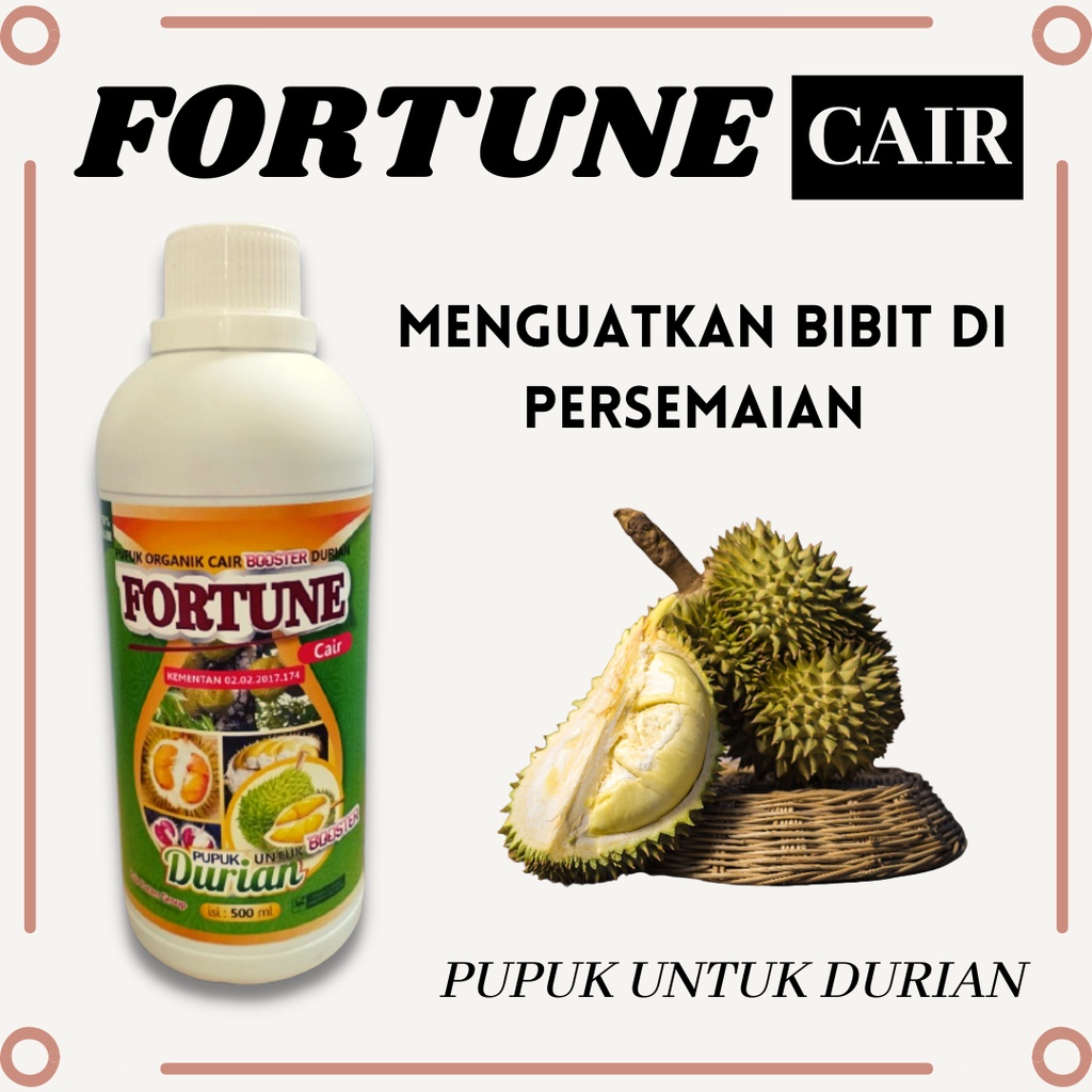 Pupuk Durian Cepat Berbuah, Pupuk Cair Fortune Pemicu Pembuahan, Pupuk Durian Agar Berbuah Lebat