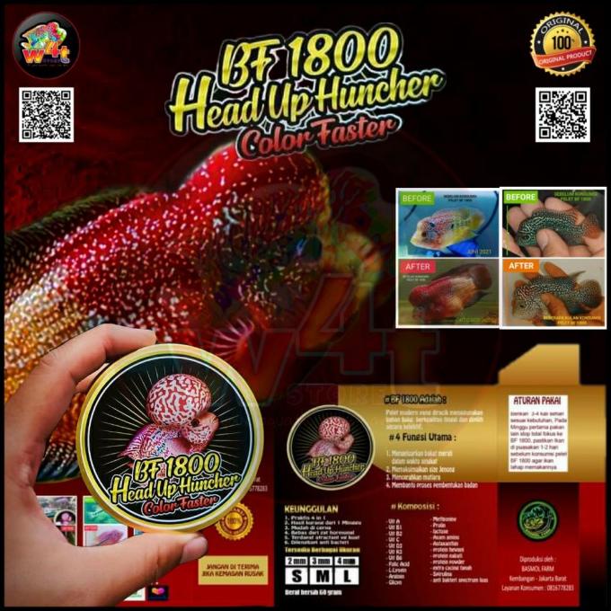 Pelet Louhan BF-1800 Head Up Huncher & Color Faster
