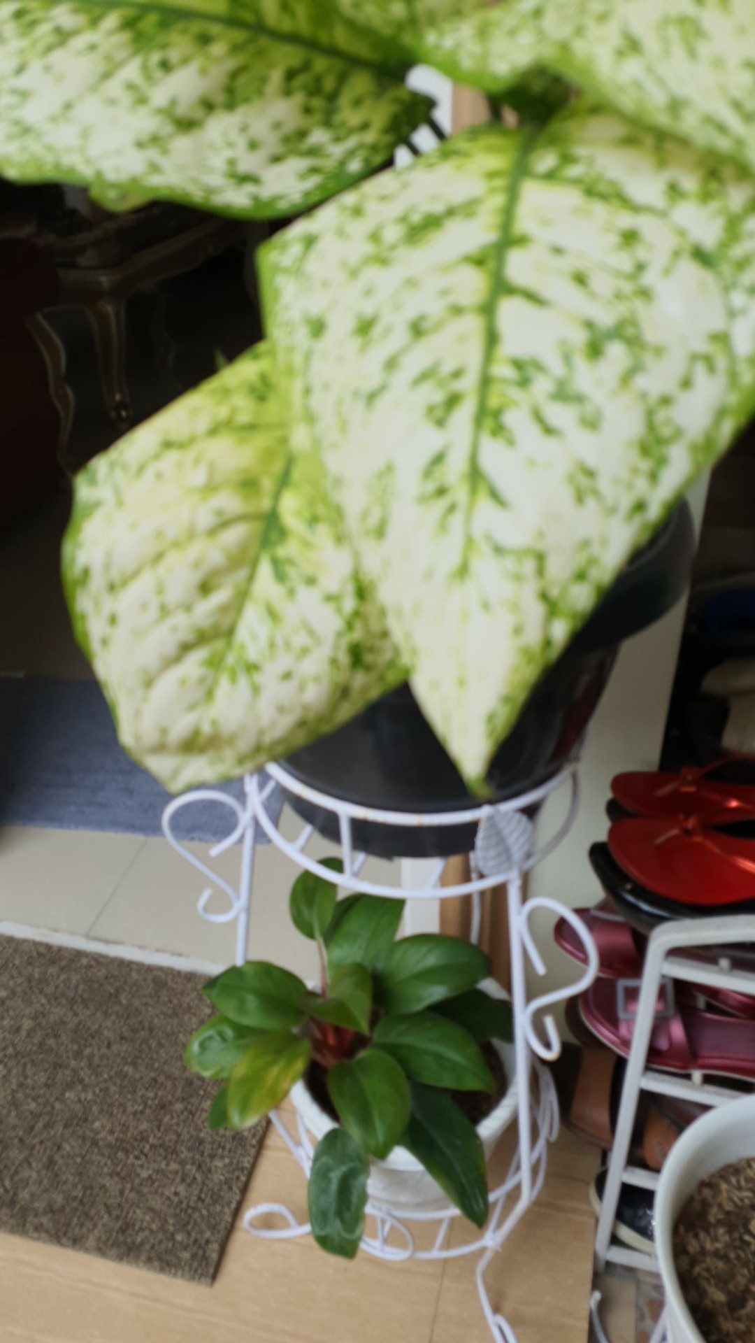 Rak Bunga Susun Besi Tanaman Hias Minimalis Bertingkat 2 Dudukan Model Guci Panjang