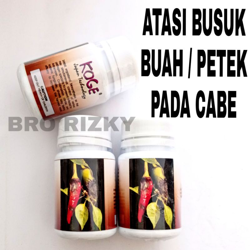 OBAT PERTANIAN KOGE 50gr ATASI BUSUK BUAH CABE
