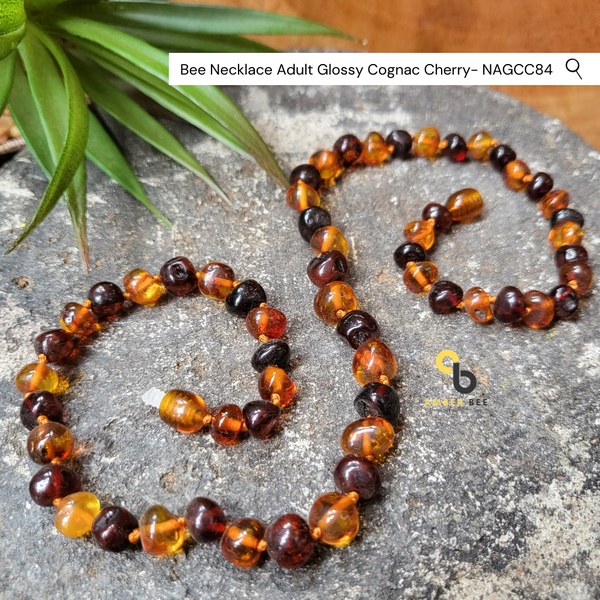 Kalung Amber Dewasa Premium Glossy Cognac Cherry by Amber Bee NAGCC84