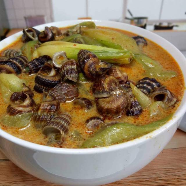 

Kerang sedot / katanglo / gulai kerang nenek