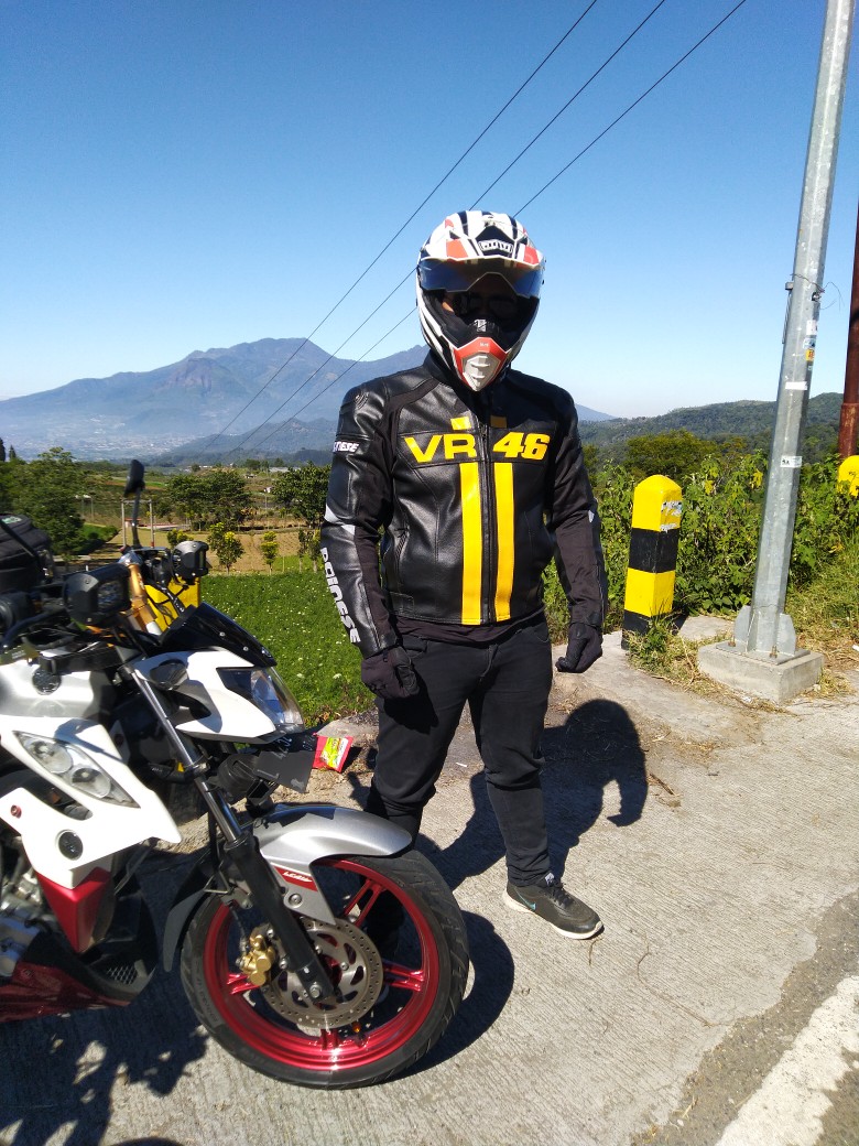 Guling Latex Suir