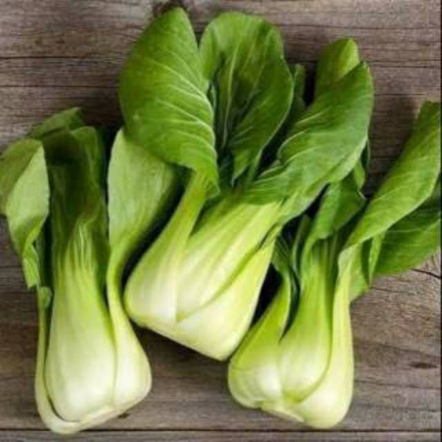 Benih-Bibit Sawi Pakcoy Masbro Eceran 100 butir - Bintang Asia Repack