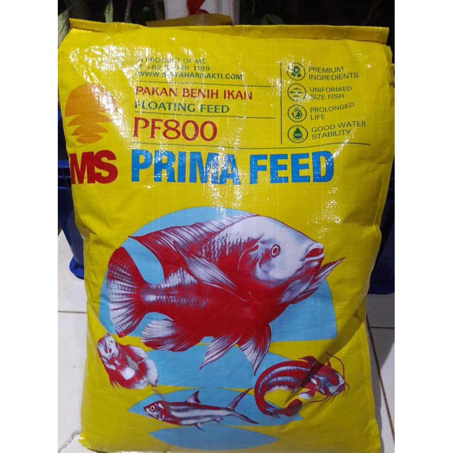 Pakan Makanan benih bibit ikan Lele nila gurame Pelet PF 800 1 Kg