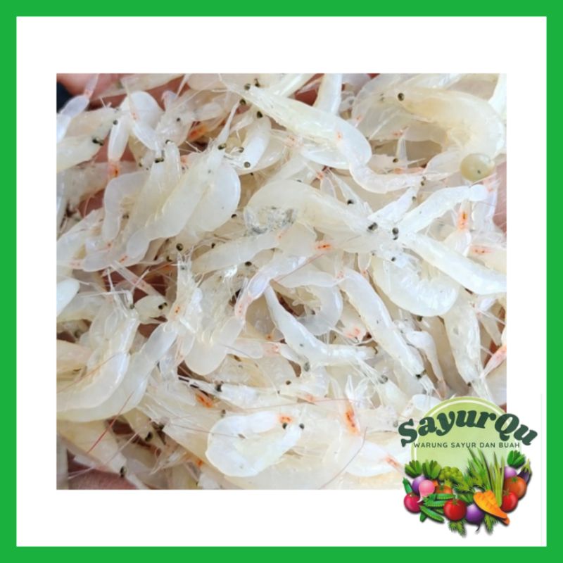 

Rebon Basah Segar Per 500 Gram - Bekasi