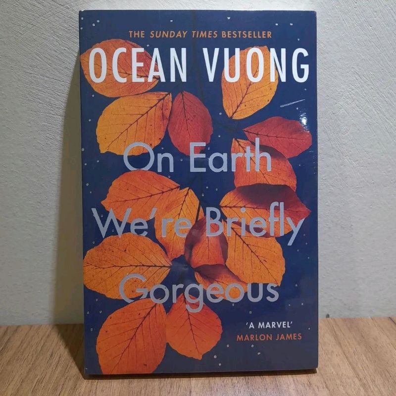 

on earth we're briefly gorgeous