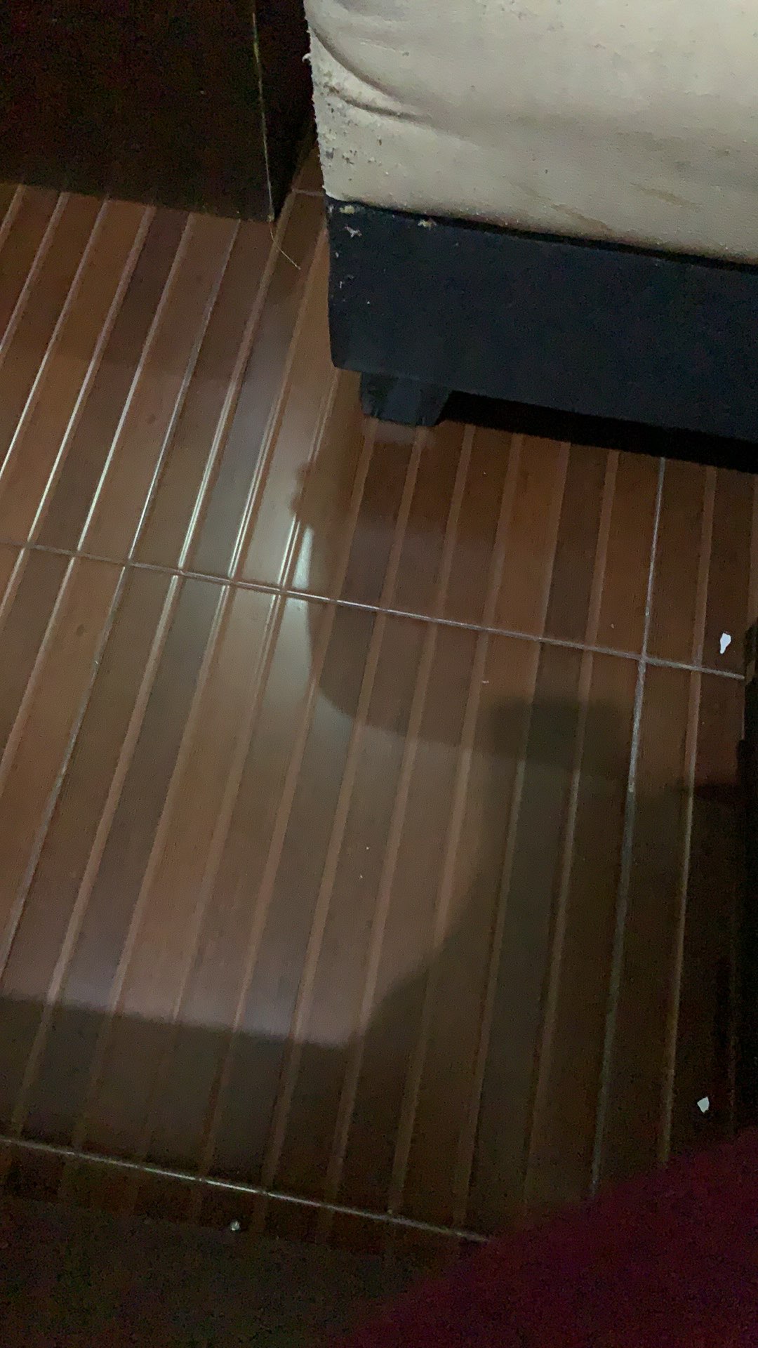 Detergent Daia Putih 6x53 Gr